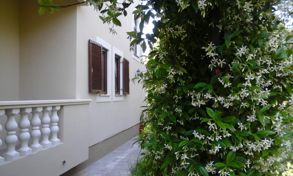 Apartments Rozelyn อูกล์ยัน ห้อง รูปภาพ